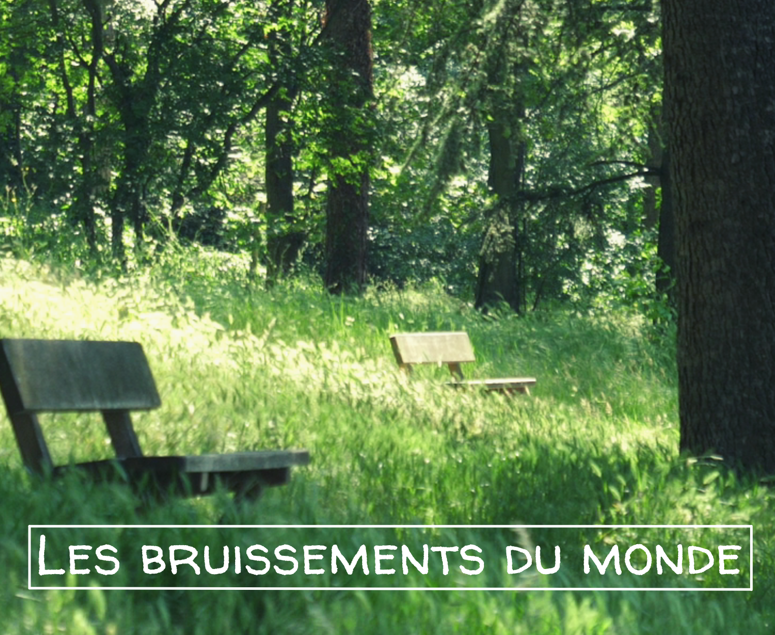 Film les bruissements du monde